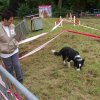 foire-haricots 2011-09-17et18